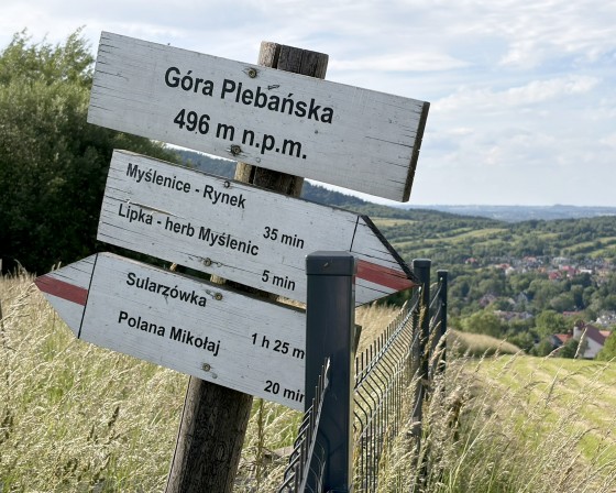 Myślenice. Trwa zabudowa Góry Plebańskiej. Co z dojściem na jej szczyt i do kompleksów leśnych?