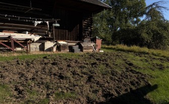 Dziki podchodzą pod domy. Starosta: potrzebujemy wspólnego rozwiązania dla całego regionu