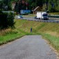 Podpisali umowę na drogi zbiorcze między Krakowem a Głogoczowem. Budowę planują na 2031-32 rok