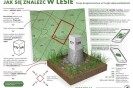 Idzesz na grzyby? Policja przypomina zasady bezpieczeństwa w lesie