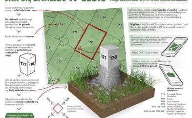 Idzesz na grzyby? Policja przypomina zasady bezpieczeństwa w lesie