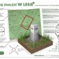 Idzesz na grzyby? Policja przypomina zasady bezpieczeństwa w lesie